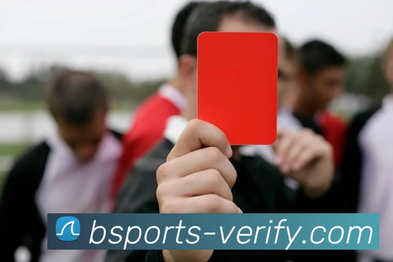 企业概况